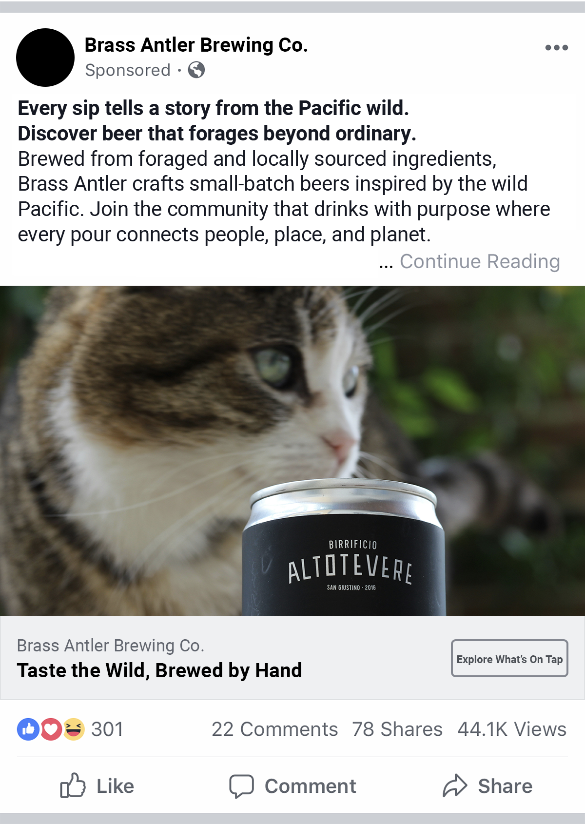 Placeholder Alt text